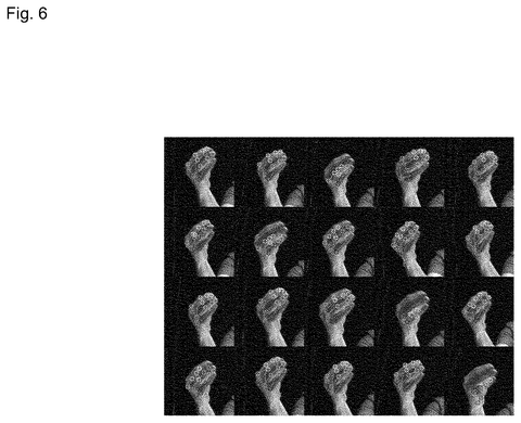 Patent: Sony’s Filing Picks the Most Reliable AI by Nudging Its Test Data patent drawing, sheet 6