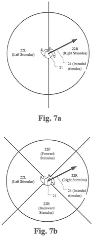 Spatial orientation of stimulus directions, drawing sheet 7 from US 2026/0233003 A1