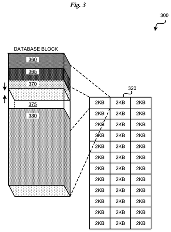 Database block memory storage layout, drawing sheet 3 from US 2026/0236475 A1