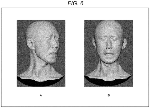 Three-dimensional head models showing neck muscle deformation during head rotation., drawing sheet 6 from US 2026/0237134 A1