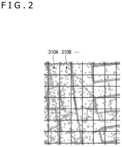 Pixel grid overlaid on scene, drawing sheet 2 from US 2026/0238895 A1