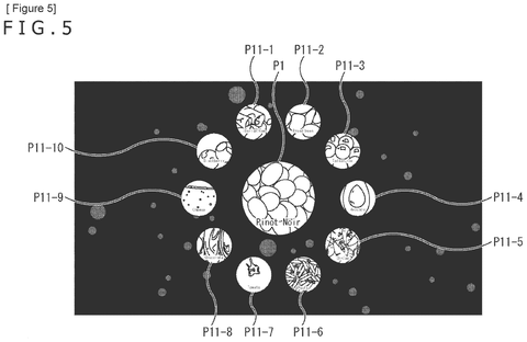 Multiple ingredient affinity options, drawing sheet 5 from US 2026/0240365 A1
