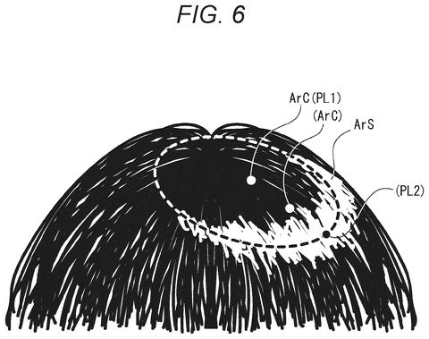 Highlighted shiny area on hair, drawing sheet 6 from US 2026/0245298 A1