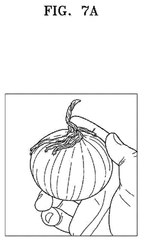 Hand holding an onion, drawing sheet 7 from US 2026/0268643 A1