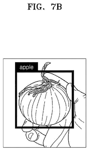 Onion misidentified as an apple, drawing sheet 8 from US 2026/0268643 A1