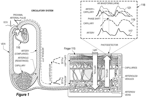 Circulatory system and finger sensor., drawing sheet 1 from US 2026/0272307 A1