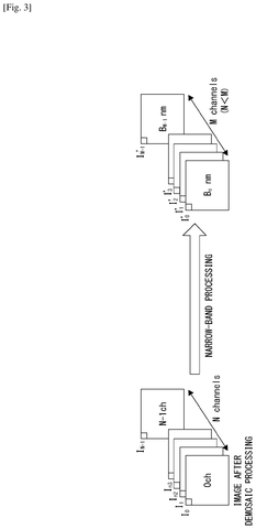Image processing channels., drawing sheet 3 from US 2026/0276444 A1