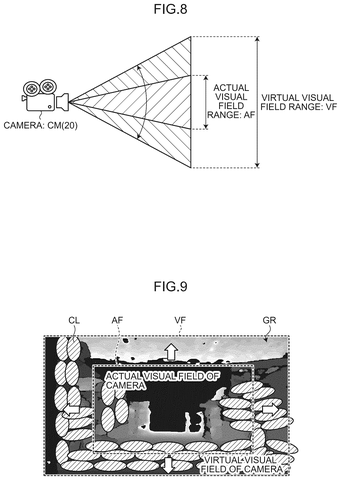 Camera actual and virtual fields., drawing sheet 8 from US 2026/0277229 A1