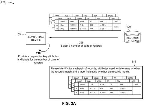 Selecting record pairs for analysis., drawing sheet 2 from US 2026/0277882 A1