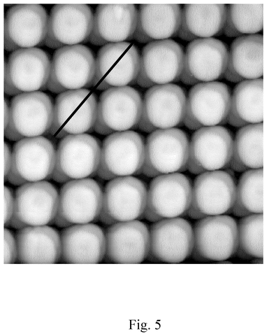 Microscopic view of cylindrical structures., drawing sheet 5 from US 2026/0282618 A1
